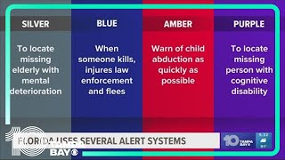 Florida celebrates 1 year anniversary of Purple Alert