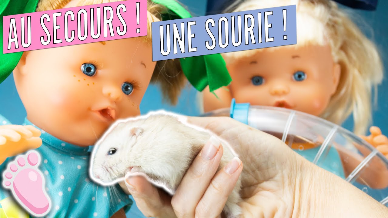 💖 NOA ET NOÉ: Au secours, une sourie s´est échapée 🐹! J’achète 2 bébés hamsters mais Noa a peur !