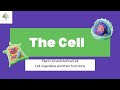 The Cell it's organelles and their functions, difference between Plant Cell and Animal Cell (Basics)