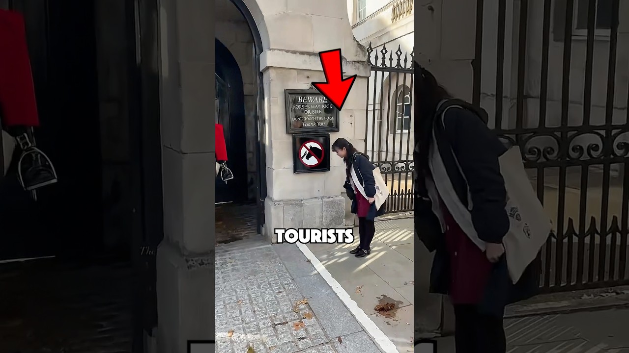 When Japanese Tourists Visit Royal Guards