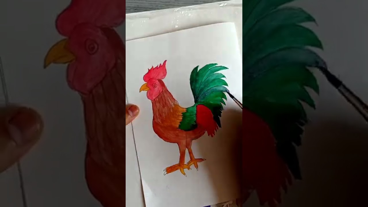 How to draw a rooster|Rooster drawing easy step by step|rooster in water colors|Peaceful Passions