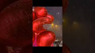 Tüm Ablalarımızın Ablalar Günü Kutlu Olsun