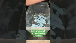 Adding worm oil to fresh #swimbait #softplastics #softbaits #bassfishing #panfishing #pondfishing