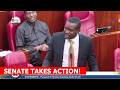 Finally Senators take action after Somali Bandits k!lled 7 people in Mwingi Tseikuru!