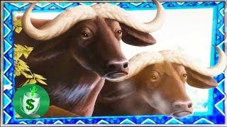 ++NEW Big Five Safari slot machine, DBG
