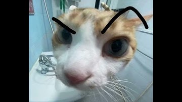 POV: You