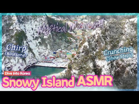 [ASMR] Snowy Mystical Island: Hidden Gem of Korea💎(Snow Steps, Birds, Waterfall) #EastSea #Ulleungo
