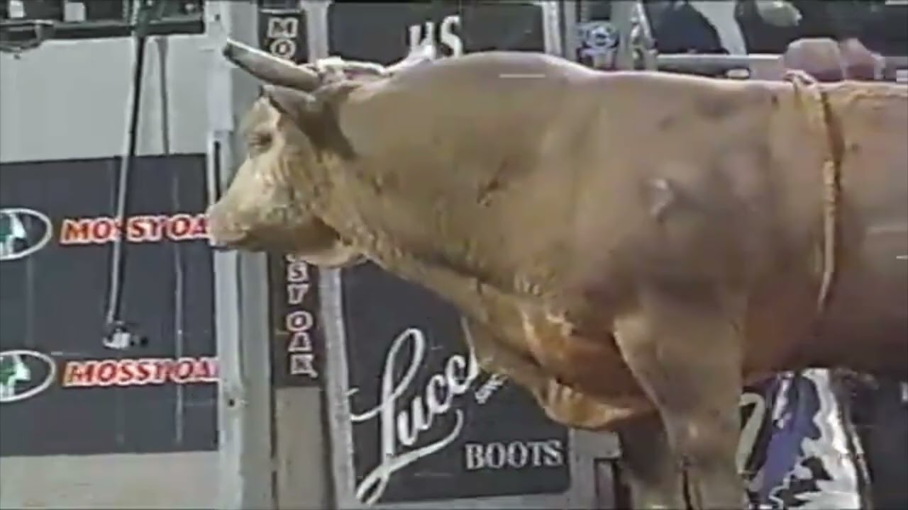 Willis Trosclair vs Happy Ending - 04 PBR Billings (86 pts)