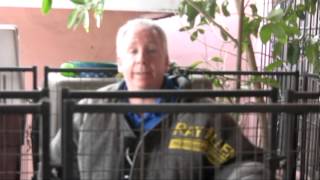 Severely Aggressive Dog on Death Row meets Master Dog Trainer Richard Heinz!