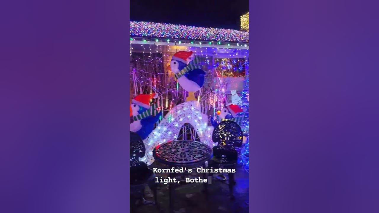 Beautiful Christmas lights🎄 Kornfed's Christmas lights Bothell