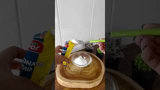 No more insects and bugs in your home! #insects #bugs