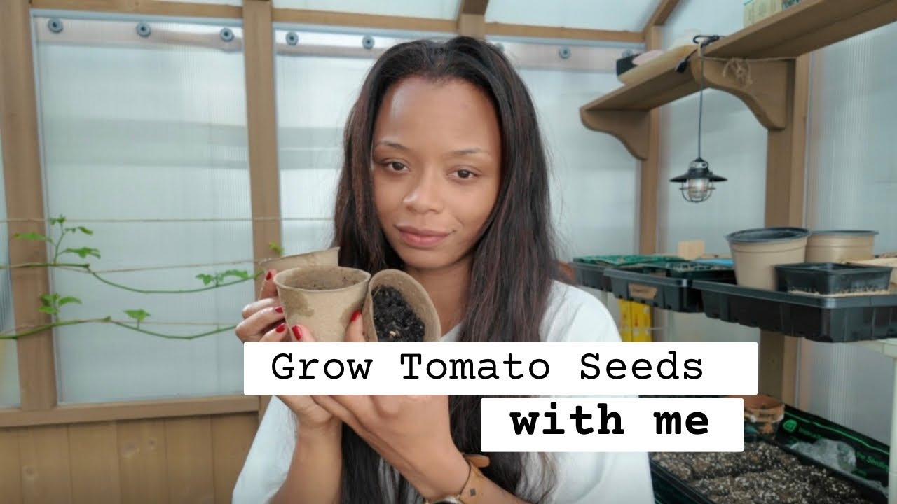 greenhouse favorite garden seeds