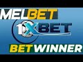 1xbet  betwinner  melbet  lequel choisir pour vos paris 