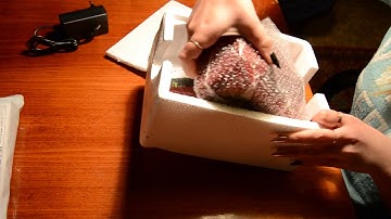 Посылка с Aliexpress (Лампа ccfl, чехол для телефона, телефон Bluboo Picasso 4G)