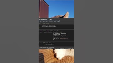 Why CatBoost Is the Best Friend for Categorical Data#MachineLearning