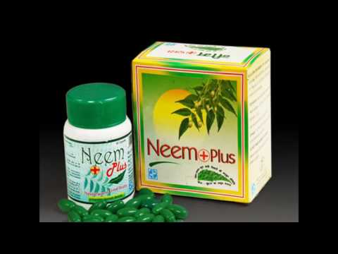 Neem-products.com: An Ample E-Portal for Comprehensive Info on Neem