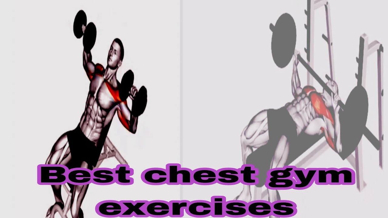 Best chest exercises// gym motivation YouTube