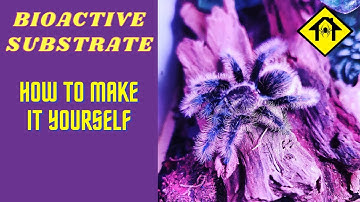 How to make a Bioactive Substrate