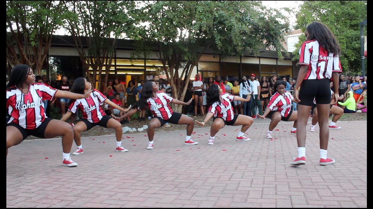 The Alpha Xi chapter of Delta Sigma Theta Sorority Inc. | 2019 Yard Show