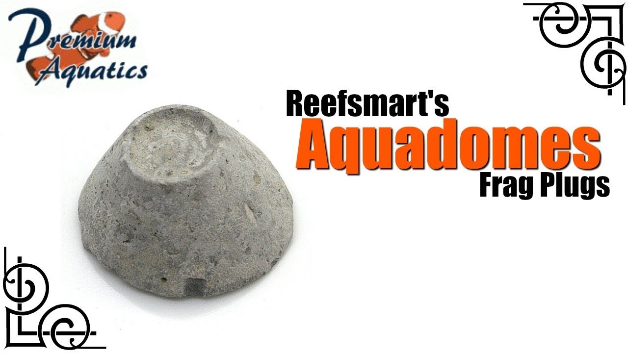 Reefsmart Aquadomes Review