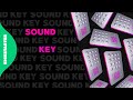 The Sound Key - новый способ обезопасить свою криптовалюту? Как не потерять свои битокины