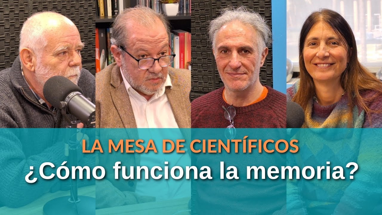 LA MEMORIA en La Mesa de Científicos: ¿Por qué "falla" con la edad? ¿Cómo funciona eso de recordar?