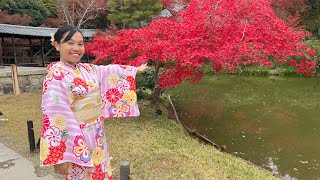 Download Lagu Kimono, Michelin Gion Gombei, Yasaka and Heian shrine, Kodaiji \u0026 Kura revolving sushi - Kyoto Japan MP3 Download Lagu Kimono, Michelin Gion Gombei, Yasaka and Heian shrine, Kodaiji \u0026 Kura revolving sushi - Kyoto Japan MP3