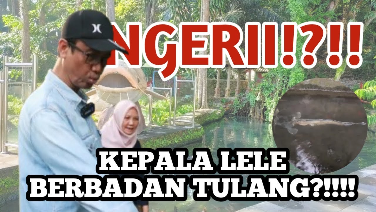 KEPALA LELE BERBADAN TULANG?! di KAMPUNG WISATA TAMAN LELE KOTA SEMARANG - REKOMANDY