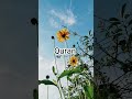 Surah sajdah ayat 07-12 urdu translation #viral #shorts #video
