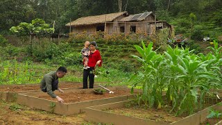 Build stilt houses, grow pineapples, ginger and flowers on the farm