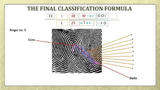 Fingerprint Classification Formula Part 6 (Key and Final Classification)
