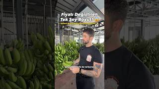 Fiyatı Değiştiren Tek Şey Boyut 😱Alevhan Muz 🍌