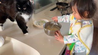 初めてパンケーキ作りに挑戦する娘を見守る猫　ラガマフィン　A cat watching over her daughter trying to make pancakes