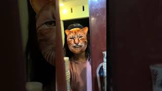 Doogie door custom built for my daughters playroom p11 #shortsvideo #doggieshorts #cutepuppy