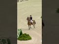 Harry Charles' PERFECT run! #shorts #equestrian