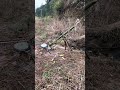 Self-made bamboo bird repeller, you have to run when the birds come.