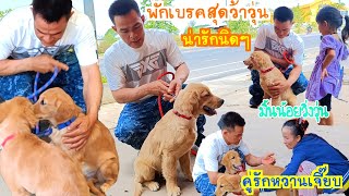 พักเบรคว้าวุ่น"น่ารักเชียว"