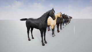 Horse Ue4 Video