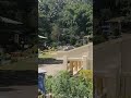 visiting her in new leyte #maco,davao, de, oro #shortvideo #enjoy #viral #love #nature #roadtrip