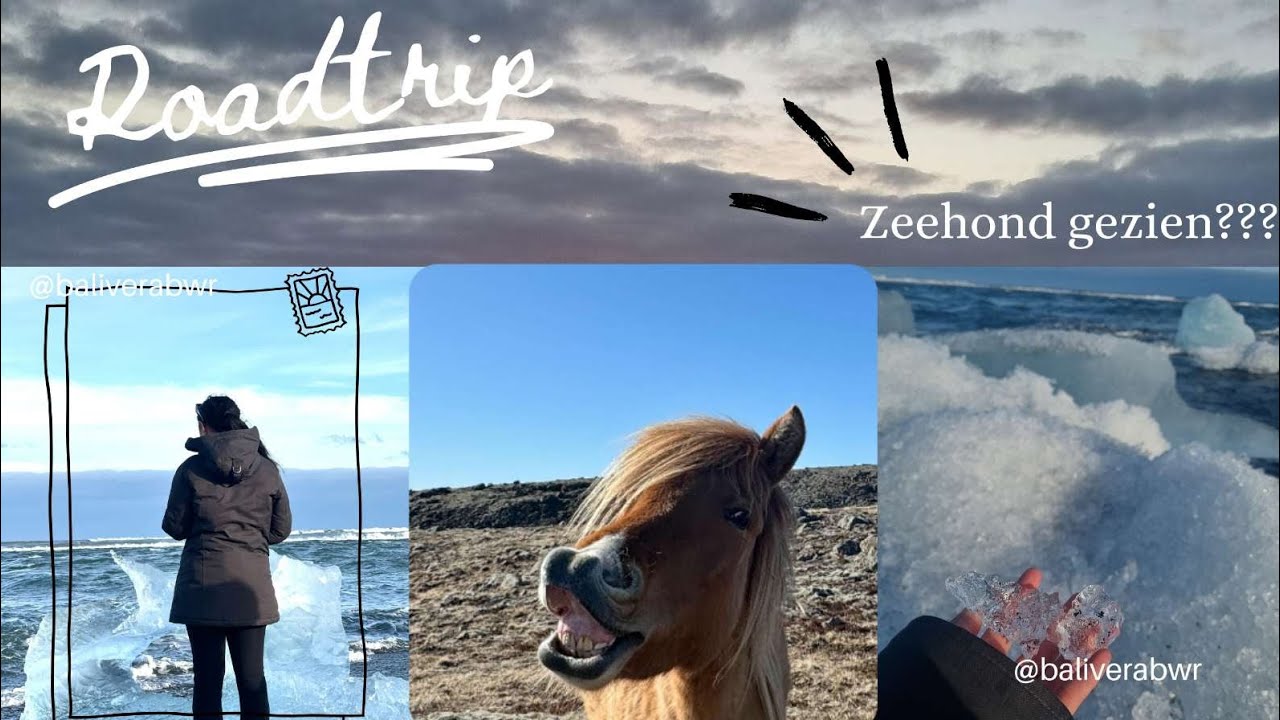 Wij gaan naar ijsland !! ❄️🗻 