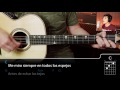 Los Amantes (Acordes para guitarra)