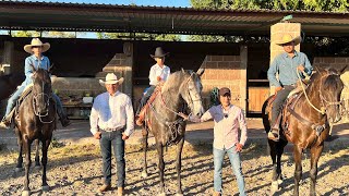 Crianza de CABALLO AZTECA raza MEXICANA | Educación y cuidados hasta llegar a la rienda