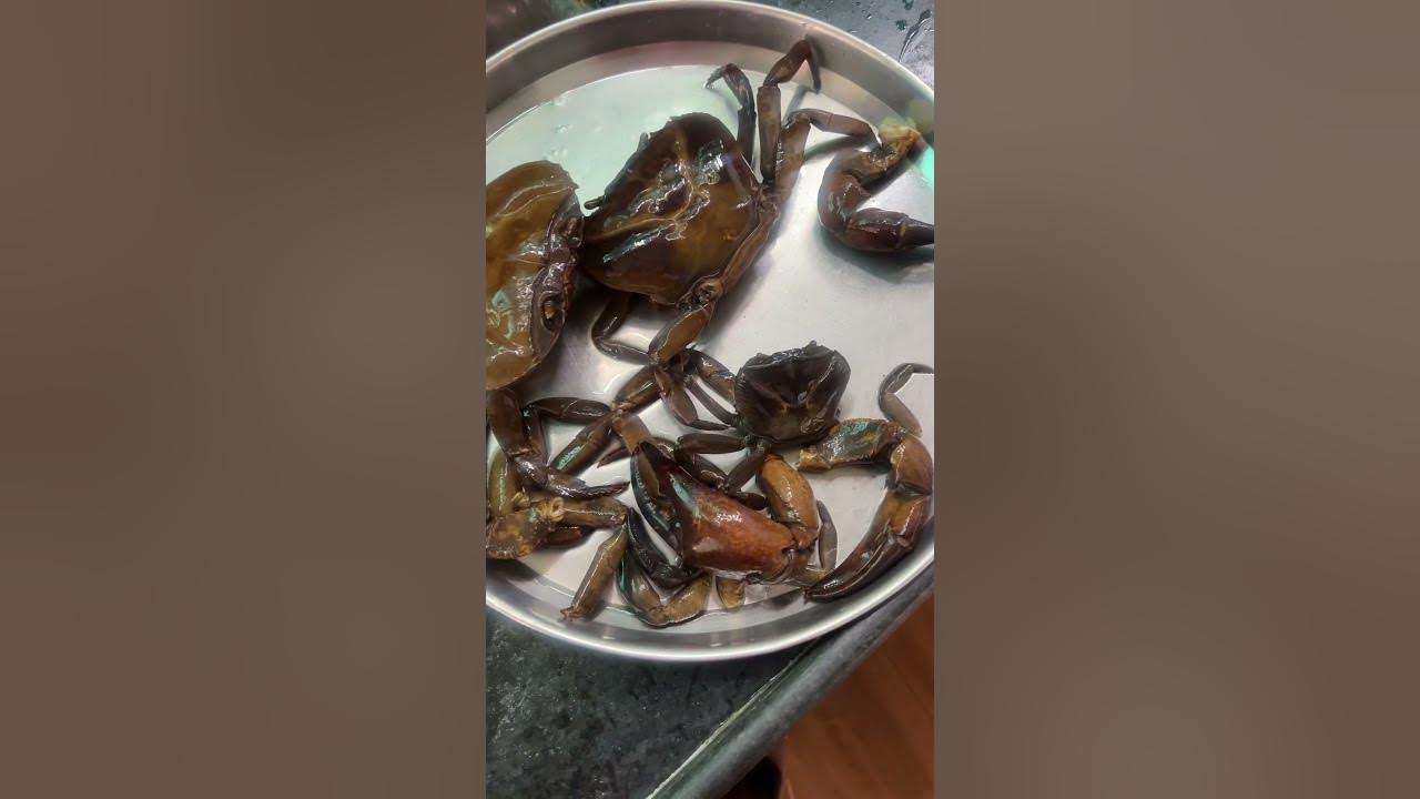 Crab #song #music #love #youtubeshorts #food #foodlifemarathi #seafood #youtube #recipe#marathithali