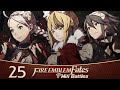 Fire emblem fates wifi battles  part 25 full tumblr team  rasouliplays