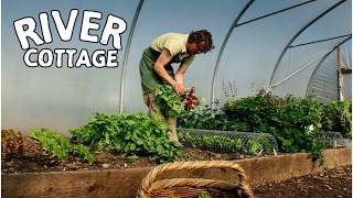 From Seed to Table: Growing the Perfect Spring Kitchen Garden