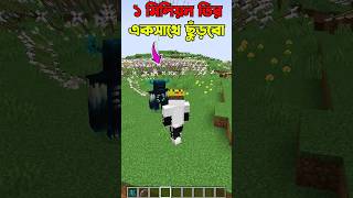 Shooting 1 Million Arrow On Warden At Once #minecraft