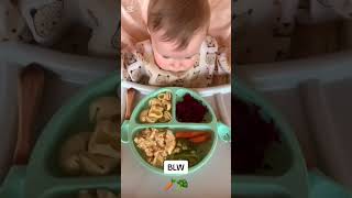 Alimentación bebes