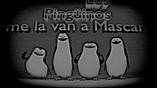 Los Pingüinos Me La Van A Mascar Edit