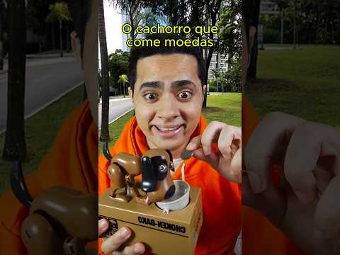 O cachorro que come moedas