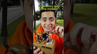 O cachorro que come moedas